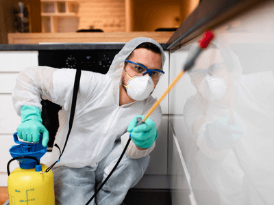 About Bite The Bed Bugs - bed bug exterminator experts