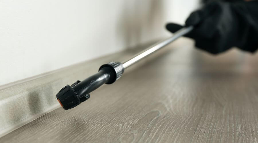 Professional bed bug exterminator services in New York - Bite The Bed Bugs